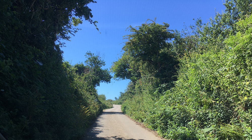 Una stretta strada di campagna in Cornovaglia.