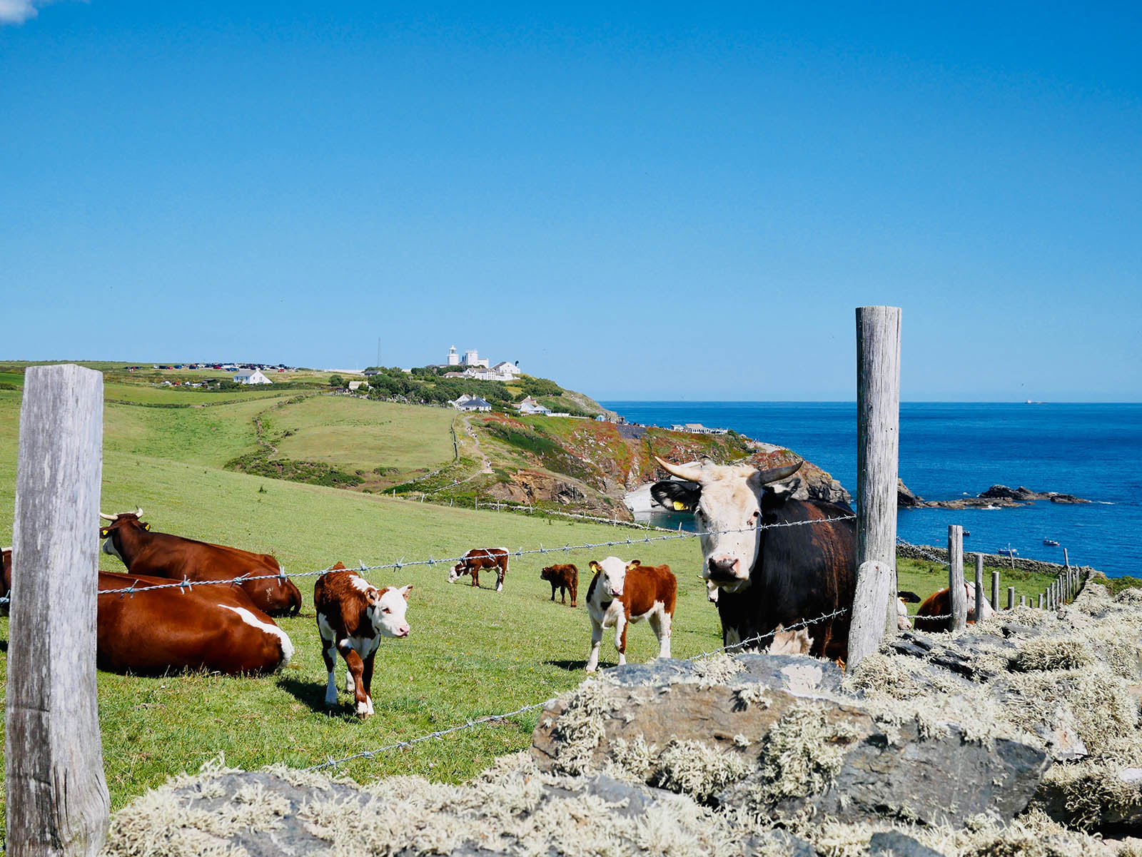 Lizard's Point panoramaudsigt.