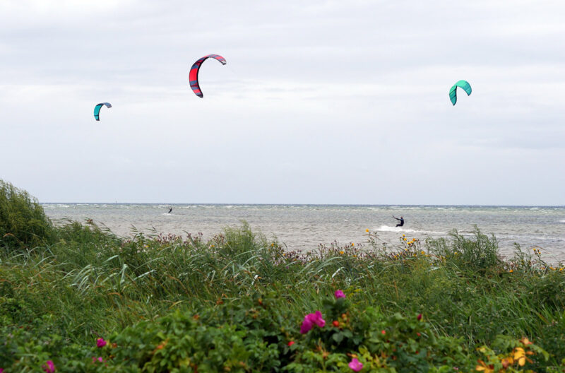 Three kites cruising at JP.
