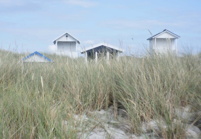 Skanör sand dunes and beach huts.