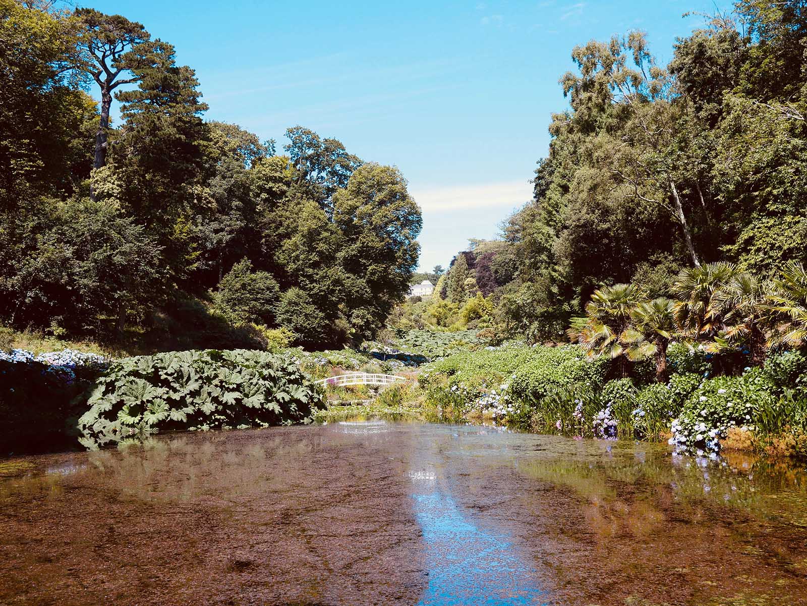 De vijver bij Trebah Garden.