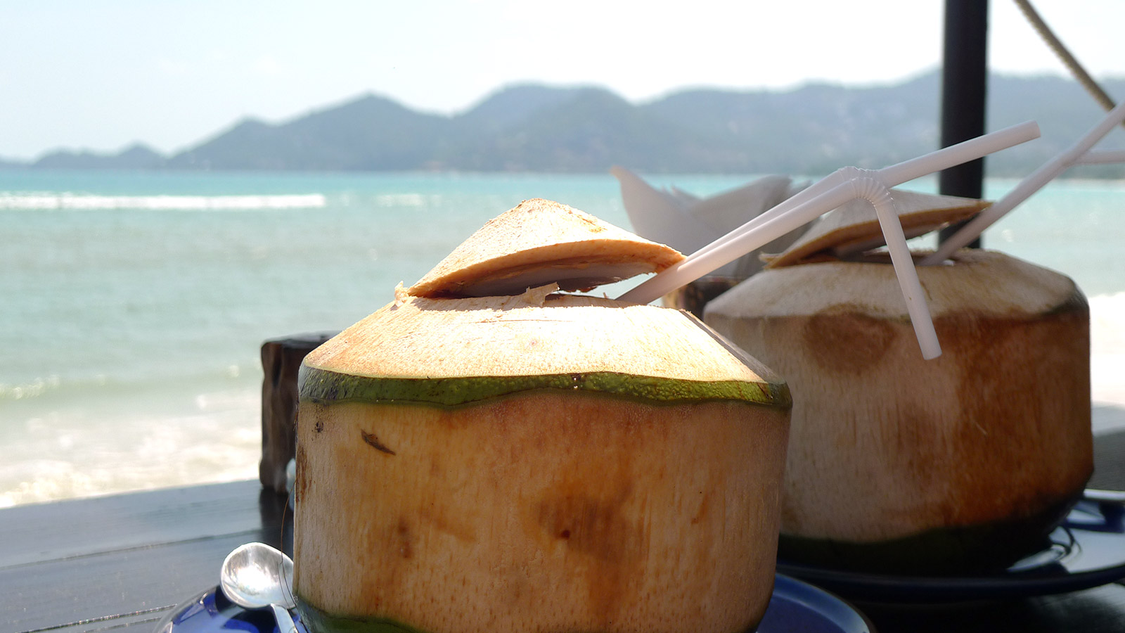 Coconuts in front of the beach